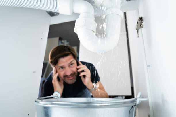 Best Clogged Drain Plumber  in Trezevant, TN